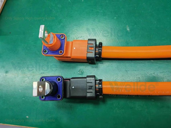 plug electric cable plug electric cable